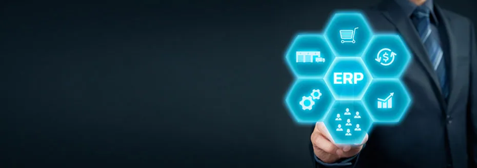 ERP Software Development Services