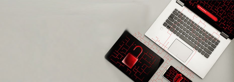 Fraud Detection Software Development Services
