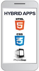 Hybrid App