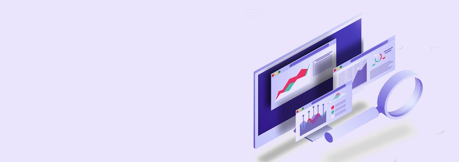 LMS Development Services