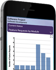 Software Portfolio