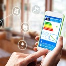 Need for Adaptability