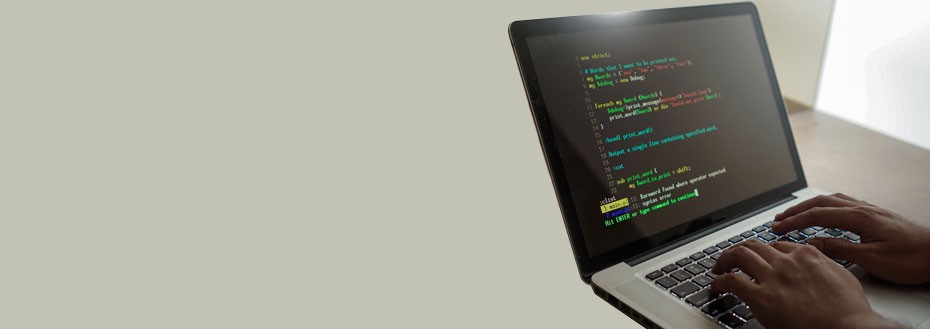 NextJs Development Services NextJs Development Services