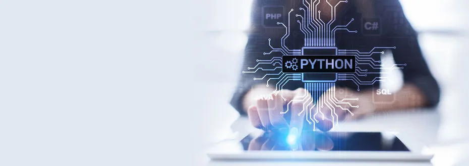 Python Programming Services