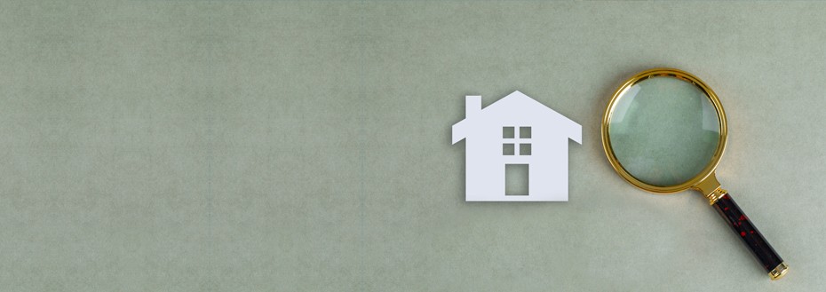 Real Estate SEO Services