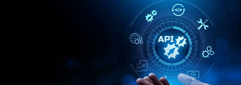 Rest API Development Services