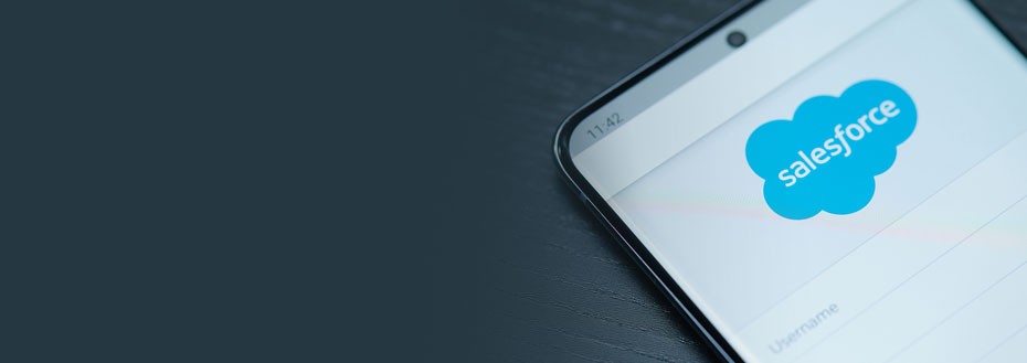 Salesforce Application Development Services