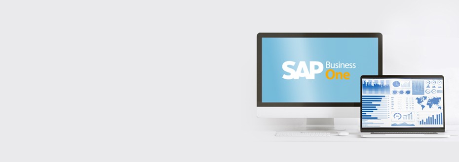 SAP Business One Services