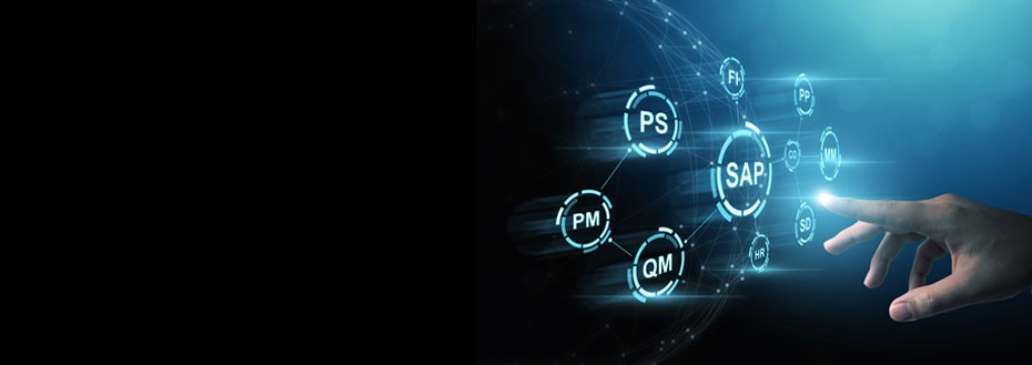 SAP Support Services