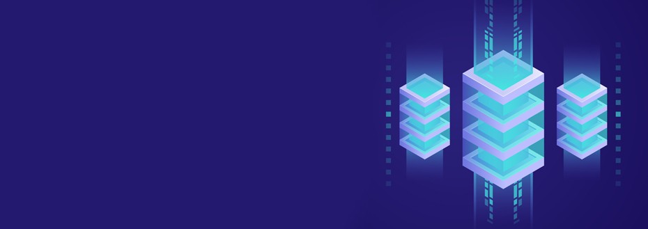 Snowflake Data Warehouse Services Snowflake Data Warehouse Services