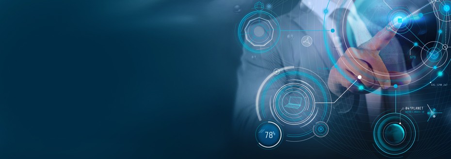 Software Asset Management Services
