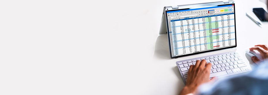 Spreadsheet Validation Services Spreadsheet Validation Services