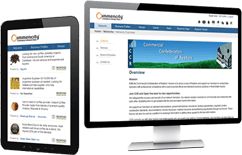 Success Story on Immencity Business Networking Platform