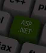 ASP.NET Development Services