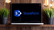 Custom SharePoint Portal Development