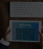 Drupal Development Services