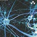 Flexibility in Using Technologies and Scalability