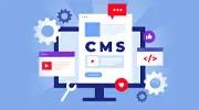 Full Stack CMS Development