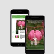 O2I Provided Intuitive Application Helped a US Client Identify Plants with Ease