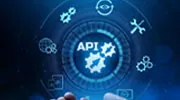 Representational State Transfer (REST) API Development Services