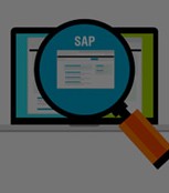 SAP Testing Services