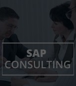 Software Consulting Services