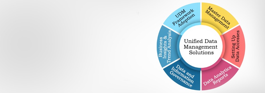 Unified Data Management (UDM) Services