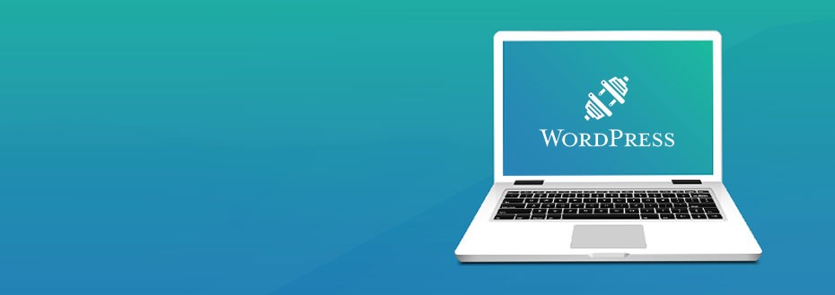 WordPress Plugin Development Services