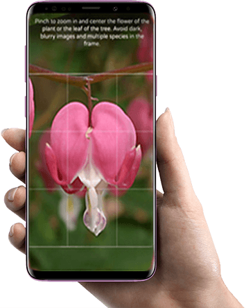 Case Study on Application Development for US Client