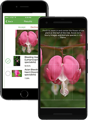 Outsource Custom App Development Services to O2I