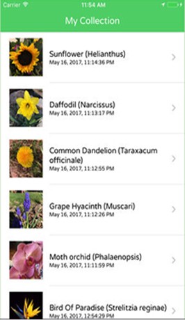 Plant Recognition App My Collection Screen Plant Recognition App My Collection Screen