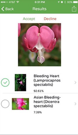 Plant Recognition App Results Screen Plant Recognition App Results Screen