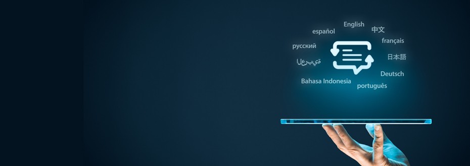 Foreign Language Translation Services