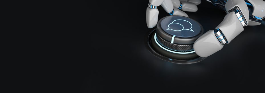 Machine Translation Services