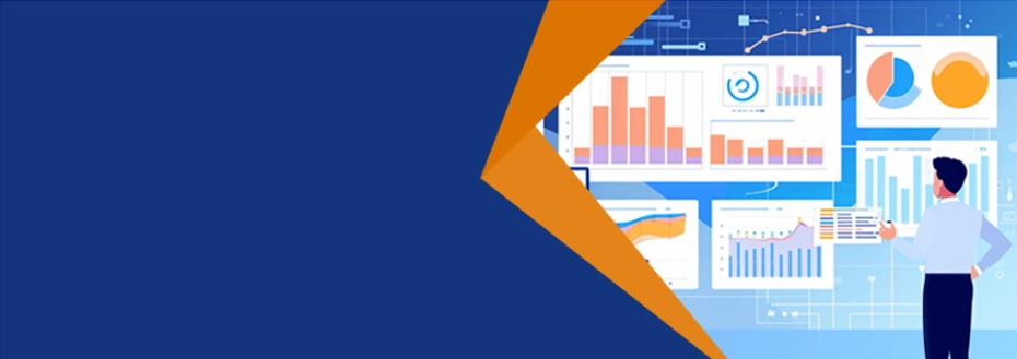 Outsource Data Visualization Services