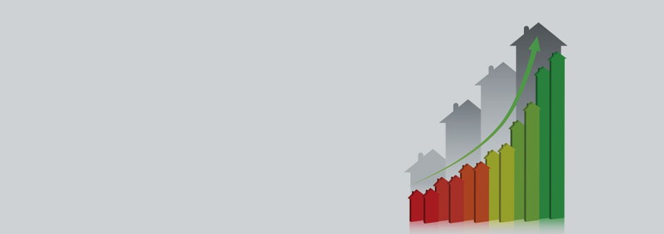Real Estate Data Visualization Services